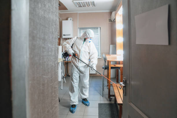 Best Comprehensive Air Testing for Mold Contaminants  in Planada, CA